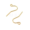 Iron Earring Hooks RN-CBA973B-10B-G-2