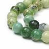 Natural Serpentine Beads Strands X-G-G829-06-8mm-3
