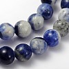 Natural Sodalite Beads Strand GSR8mmC013-2