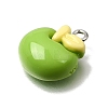 Opaque Resin Imitation Food Pendants RE-CBAAB56-09-2