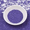 MIYUKI Delica Beads SEED-J020-DB2359-2