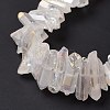 Natural Quartz Crystal Points Beads Strands G-K181-B28-5