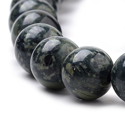 Natural Kambaba Jasper Beads Strands G-Q481-103-1