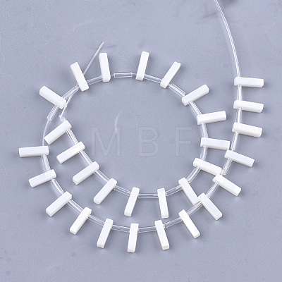 Natural Freshwater Shell Beads SHEL-T012-59I-1