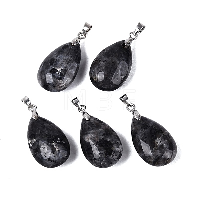 Natural Larvikite Pendants G-N362-03P-01-1