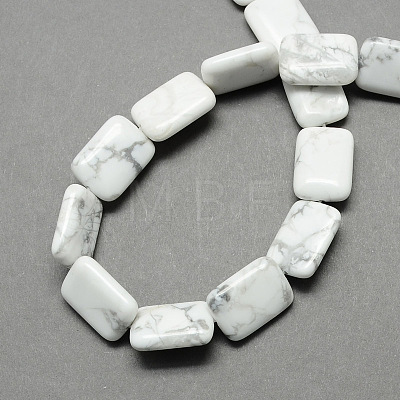 Natural Howlite Beads Strands X-G-S112-23-1