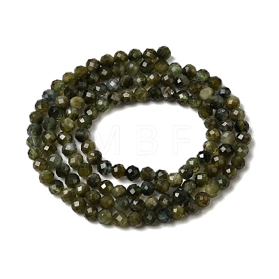 Natural Green Tourmaline Beads Strands X-G-L653-B03-3mm-1
