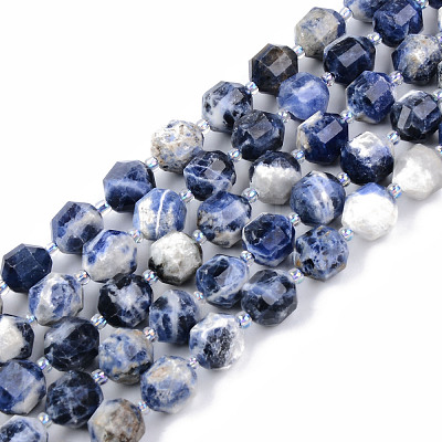 Natural Sodalite Beads Strands G-R482-21A-10MM-1
