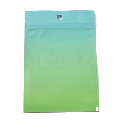 Plastic Zip Lock Bag OPP-H001-01B-01-1