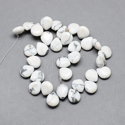 Natural Howlite Gemstone Beads Strands X-G-T005-17-1