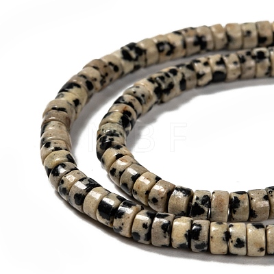 Natural Dalmatian Jasper Beads Strands G-L528-10-1
