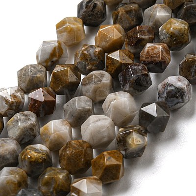 Natural Gobi Agate Beads Strands G-NH0012-B03-01-1