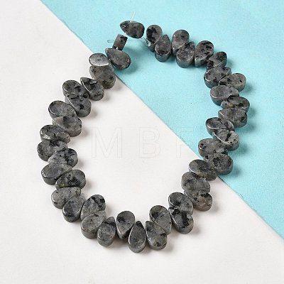 Natural Larvikite Beads Strands G-B064-B63-1