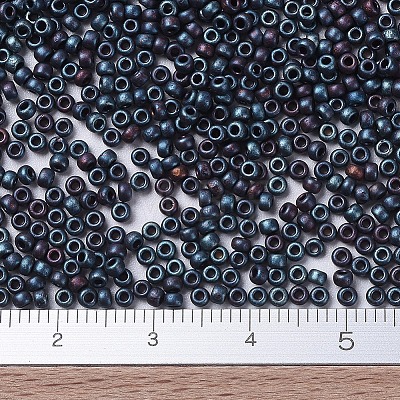 MIYUKI Round Rocailles Beads X-SEED-G007-RR2009-1