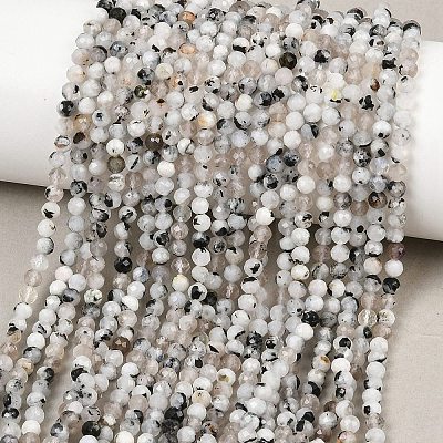 Natural Rainbow Moonstone Beads Strands G-B175-D24-3mm-1
