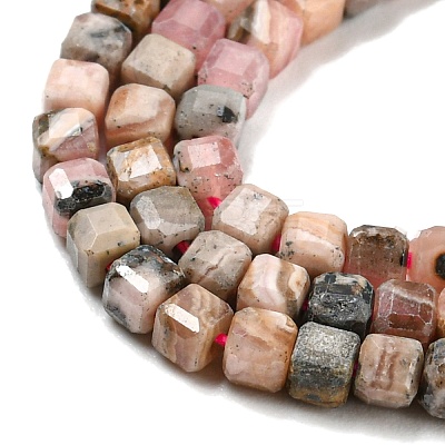 Natural Rhodonite Beads Strands X-G-Q1005-F-01-1