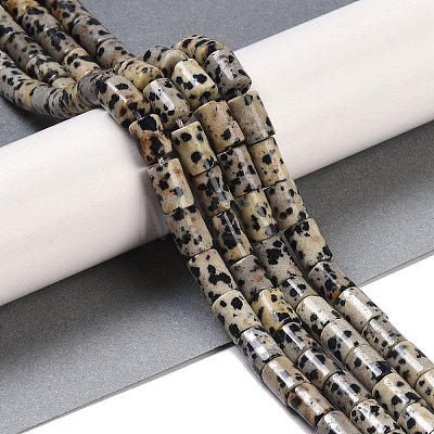 Natural Dalmatian Jasper Beads Strands G-C128-A18-01-1