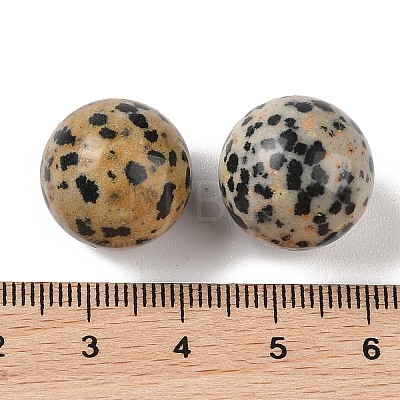 Natural Dalmatian Jasper No Hole Sphere Beads G-K353-04D-16-1