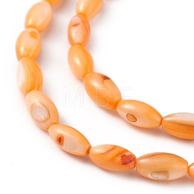 Natural Freshwater Shell Dyed Beads Strands SHEL-M018-13-08-1