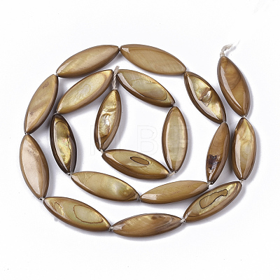 Freshwater Shell Beads Strands SHEL-T014-007A-1