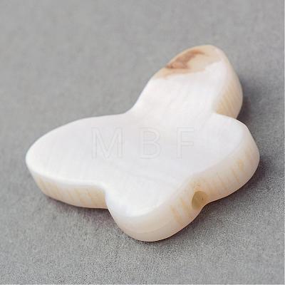 Natural Sea Shell Beads SSHEL-Q296-30-1