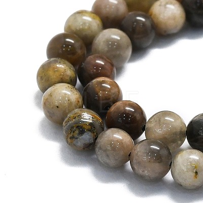 Natural Gemstone Beads Strands G-P457-C02-08-1