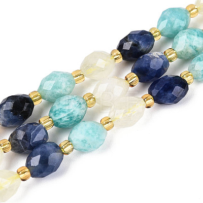 Natural Sodalite & Flower Amazonite & Lemon Quartz Beads Strands G-N358-04A-07-1