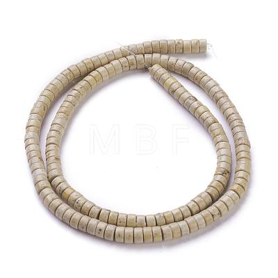 Natural Fossil Beads Strands G-H230-11-1