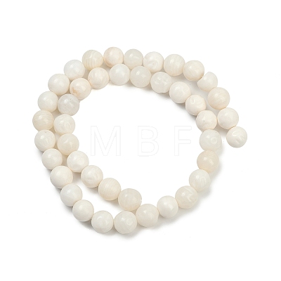 Natural White Shell Beads Strands BSHE-U001-01B-1