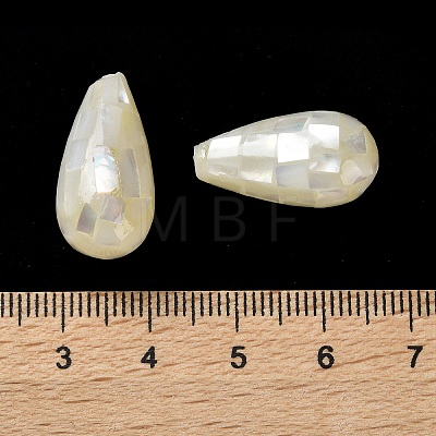 Natural White Shell Beads SSHEL-B002-10B-04-1