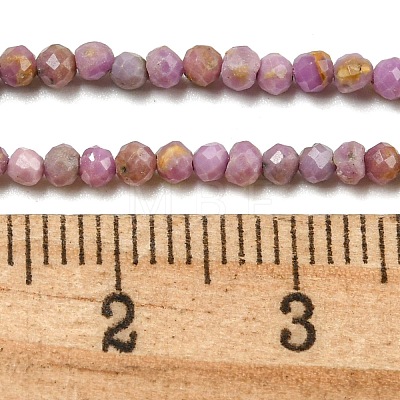 Natural Lepidolite/Purple Mica Stone Beads Strands G-NH0011-A01-03-1