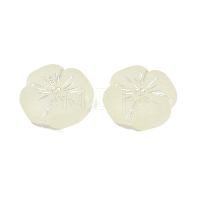 Frosted Transparent Acrylic Beads X1-OACR-P029-19B-03-1