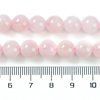 Natural Morganite Beads Strands G-F602-12-8mm-01-1