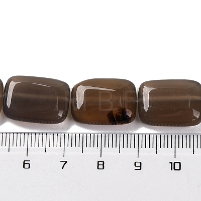 Natural Gray Agate Beads Strands G-T047-B24-01-1