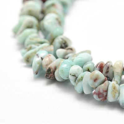 Natural Larimar Beads Strands G-P302-03-1