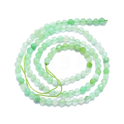 Natural Chrysoprase Beads Strands G-P457-A02-23-1