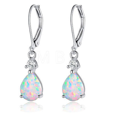 Brass Cubic Zirconia Dangle Earrings FS-WG32116-05-1