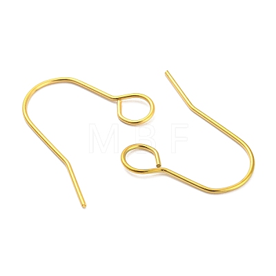 304 Stainless Steel Earring Hooks STAS-B047-31G-1