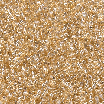 MIYUKI Delica Beads SEED-J020-DB0099-1