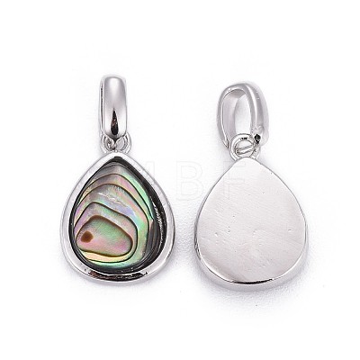 Natural Abalone Shell/Paua ShellCharms BSHE-F011-03B-P-1