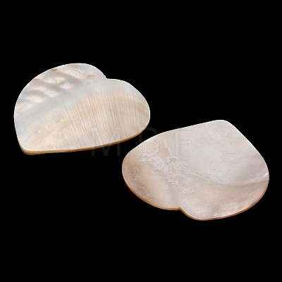 Natural Freshwater Shell Cabochons SHEL-C010-10A-1