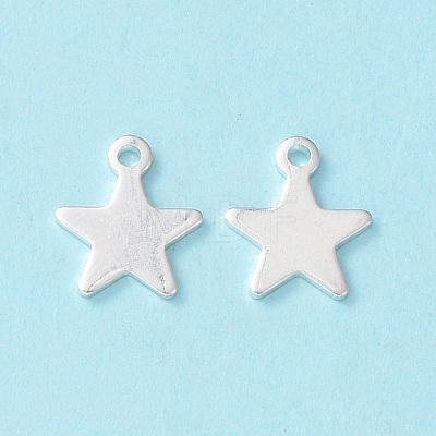 304 Stainless Steel Charms STAS-L234-069S-1