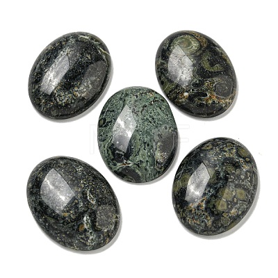 Natural Kambaba Jasper Cabochons G-C115-01B-22-1