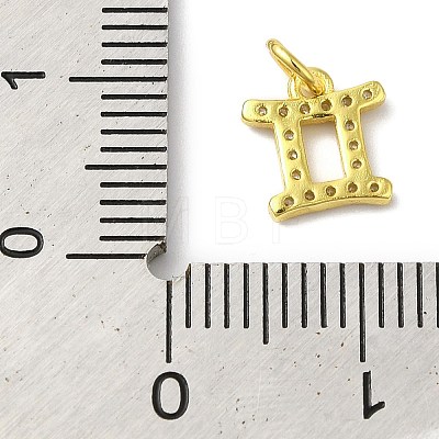 925 Sterling Silver Charms STER-M120-03C-G-1