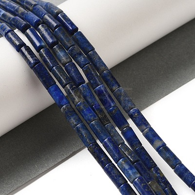 Natural Lapis Lazuli Beads Strands G-B091-A15-01-1