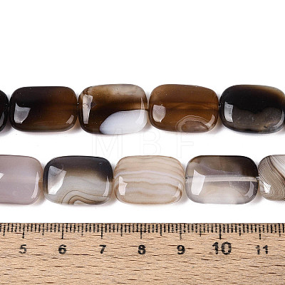 Natural Agate Beads Strands G-N356-03A-03-1