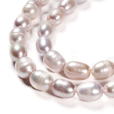 Natural Cultured Freshwater Pearl Beads Strands PEAR-R064-16-1