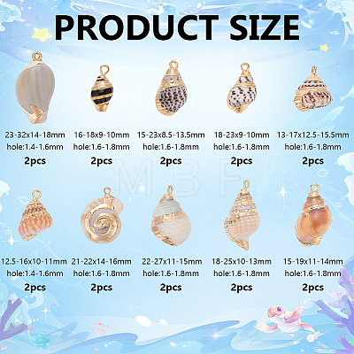 20Pcs 10 Styles Electroplated Natural Mixed Shell Pendants BSHE-GA0001-05-1