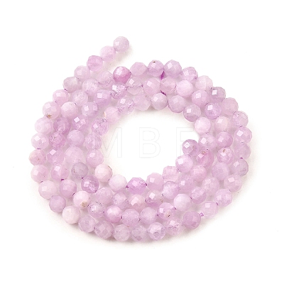 Natural Kunzite Beads Strands G-G259-D11-4mm-1
