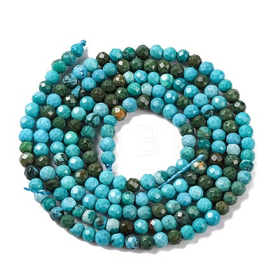 Natural Howlite Beads Strannds G-C025-02A-04-1